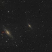 NGC 7331 (Deer Lick Group)