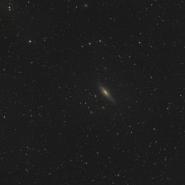 NGC 7331 (Deer Lick Group)
