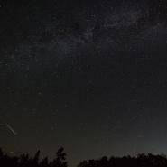 Perseid Meteor