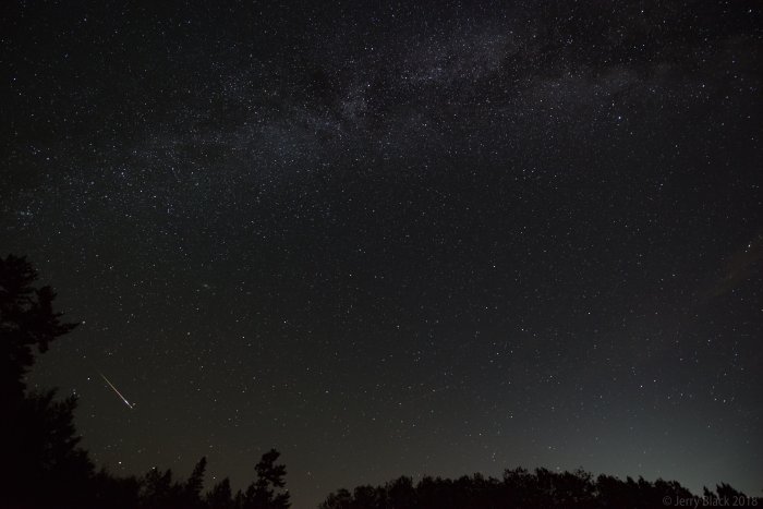 Perseid Meteor