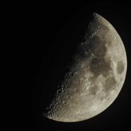 50.2% 1st Quarter Moon