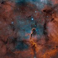 Elephant Trunk Nebula IC 1396