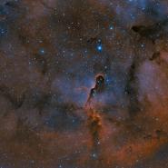 Elephant Trunk Nebula IC 1396