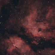 IC 1318 (Gamma Cygni Nebula)
