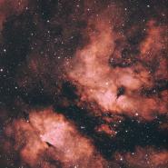 IC 1318 (Gamma Cygni Nebula)