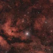 IC 1318 (Gamma Cygni Nebula)