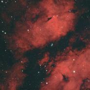 IC 1318 (Gamma Cygni Nebula)