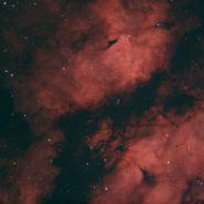 IC 1318 Gamma Cygni Nebula