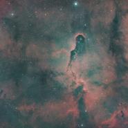 IC 1396 (Elephant Trunk Nebula)