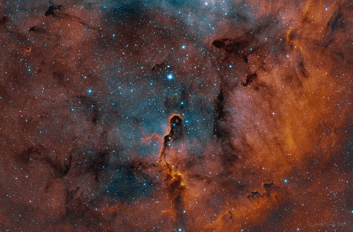 Elephant Trunk Nebula IC 1396