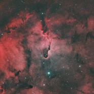 IC 1396 Elephant Trunk Nebula