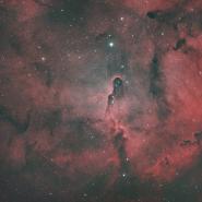 IC 1396 Elephant Trunk Nebula