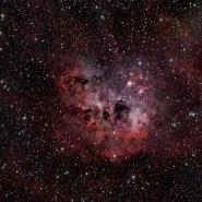 NGC 1893 and IC 410 Tadpole Nebula