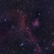 IC 2177 / NGC 2335 (Seagull Nebula)