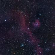 IC 2177 / NGC 2335 (Seagull Nebula)
