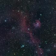 IC2177-NGC2335-Seagull-Nebula