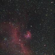 IC 2177 / NGC 2335 (Seagull Nebula)