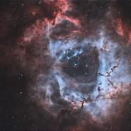 NGC 2244 (Rosette Nebula)