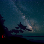 Observing the Dark Horse rising